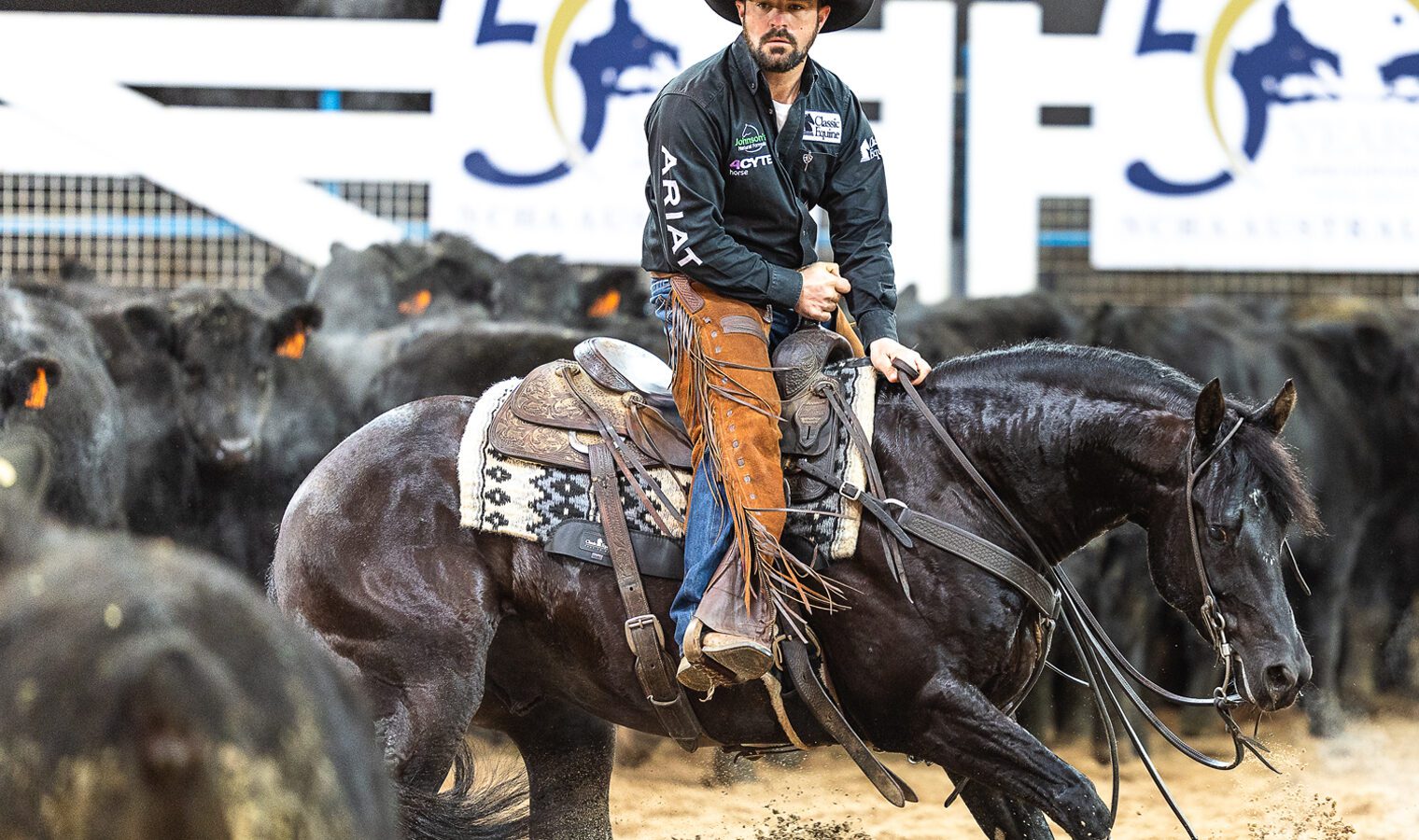 smoothtalkerweb smoothtalkerweb