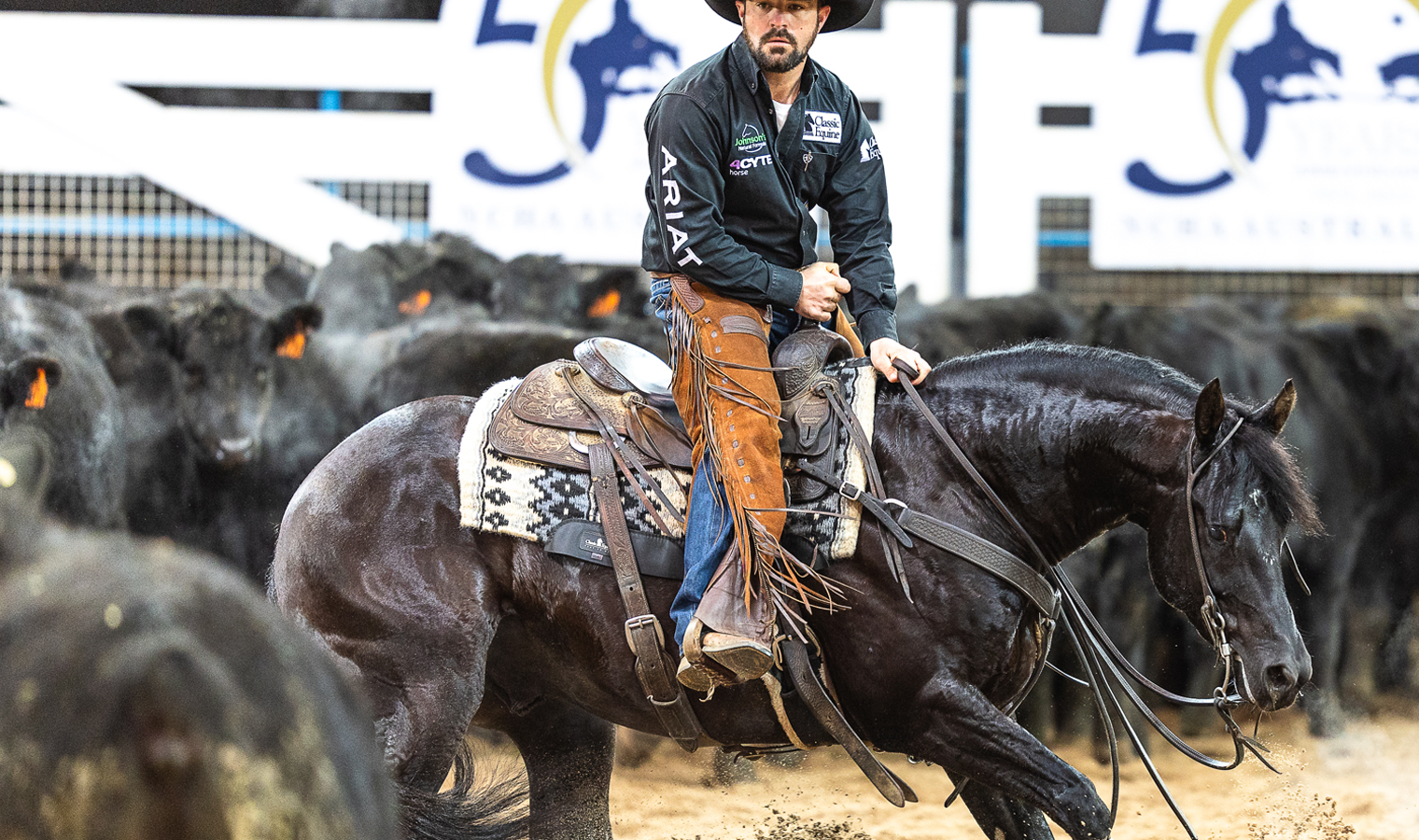 smoothtalkerweb smoothtalkerweb