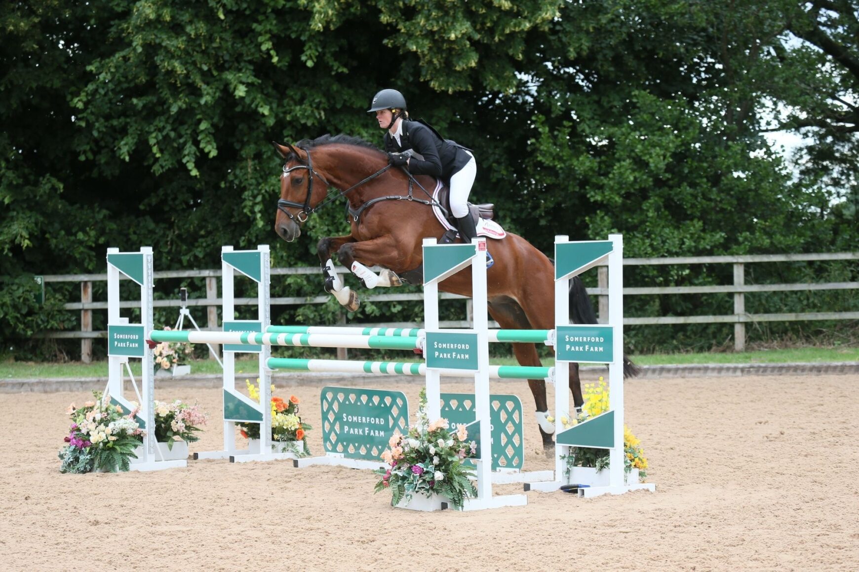 STW_7894{Novice_-_Show Jumping_-_r. 17.00 to 17.30 STW_7894{Novice_-_Show Jumping_-_r. 17.00 to 17.30