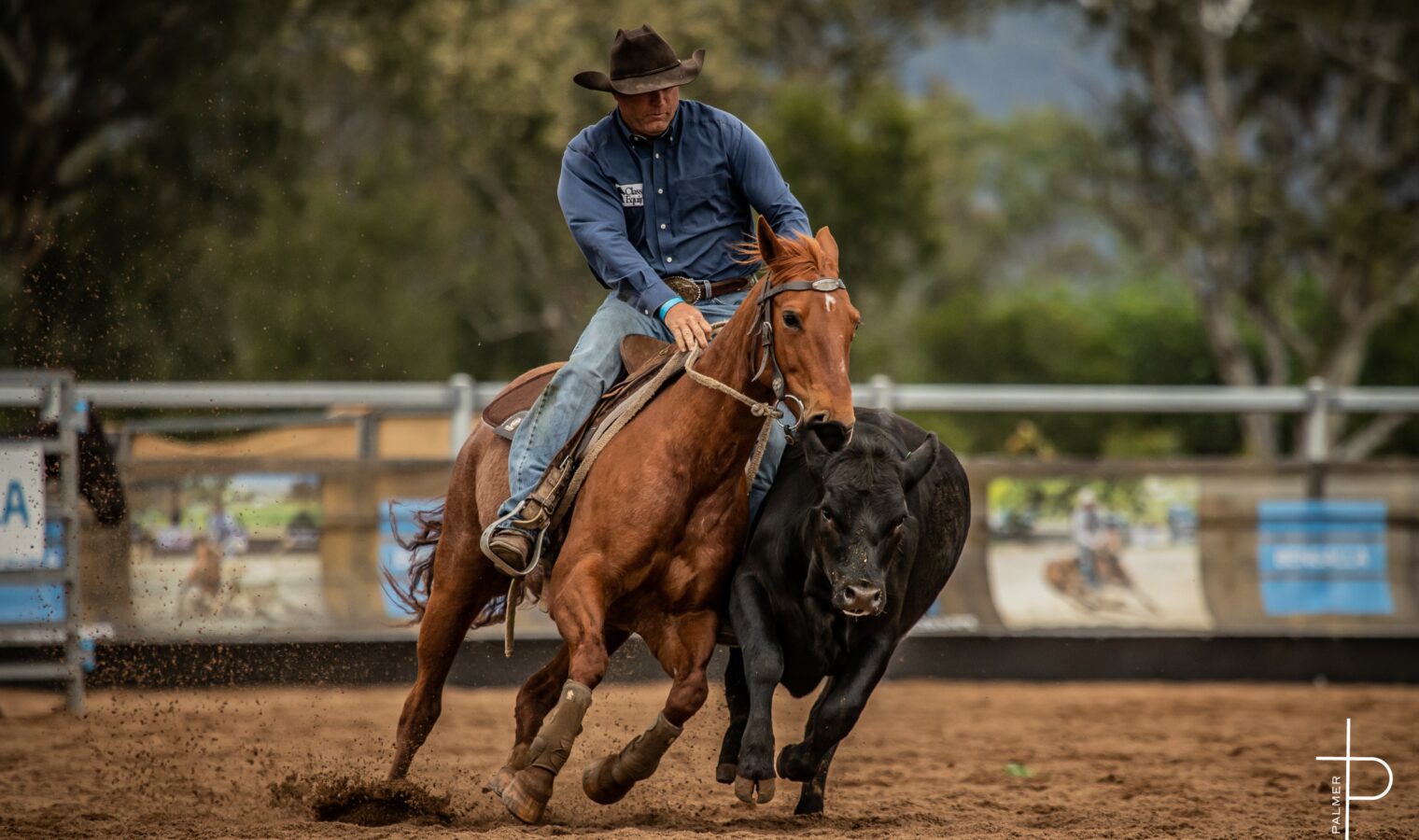 troy and whos divine troy and whos divine