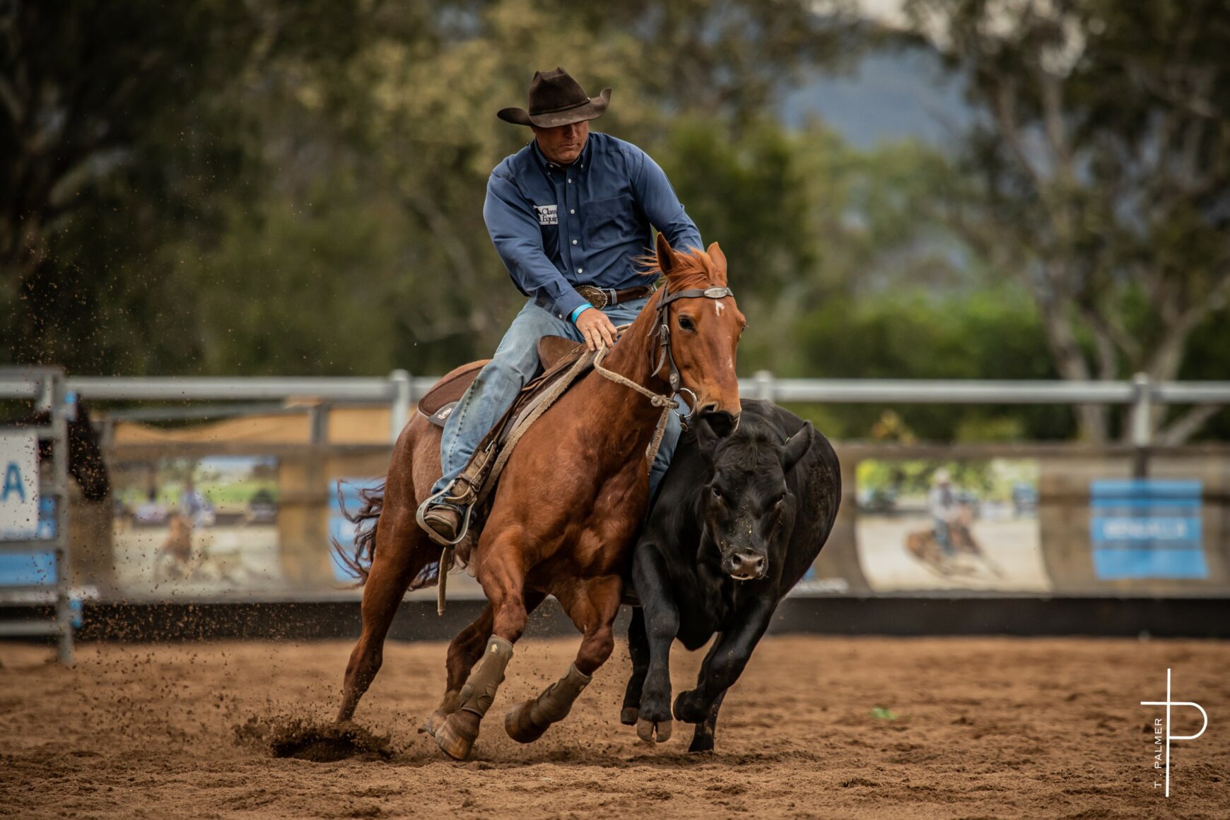 troy and whos divine troy and whos divine