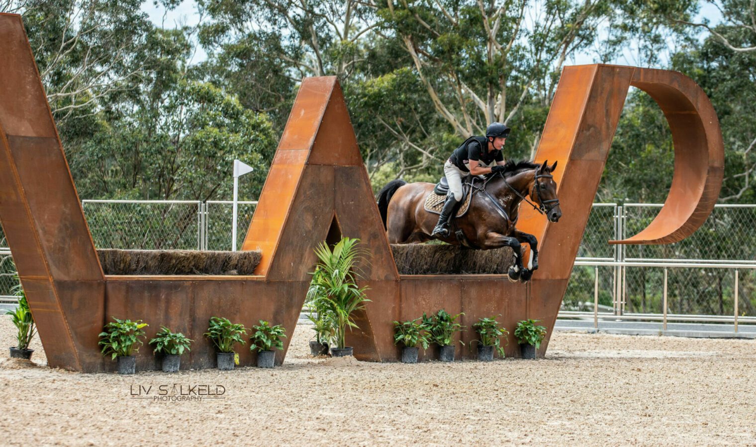 OLS-1753-1-scaled-e1647392407123-2320x1160 OLS-1753-1-scaled-e1647392407123-2320x1160