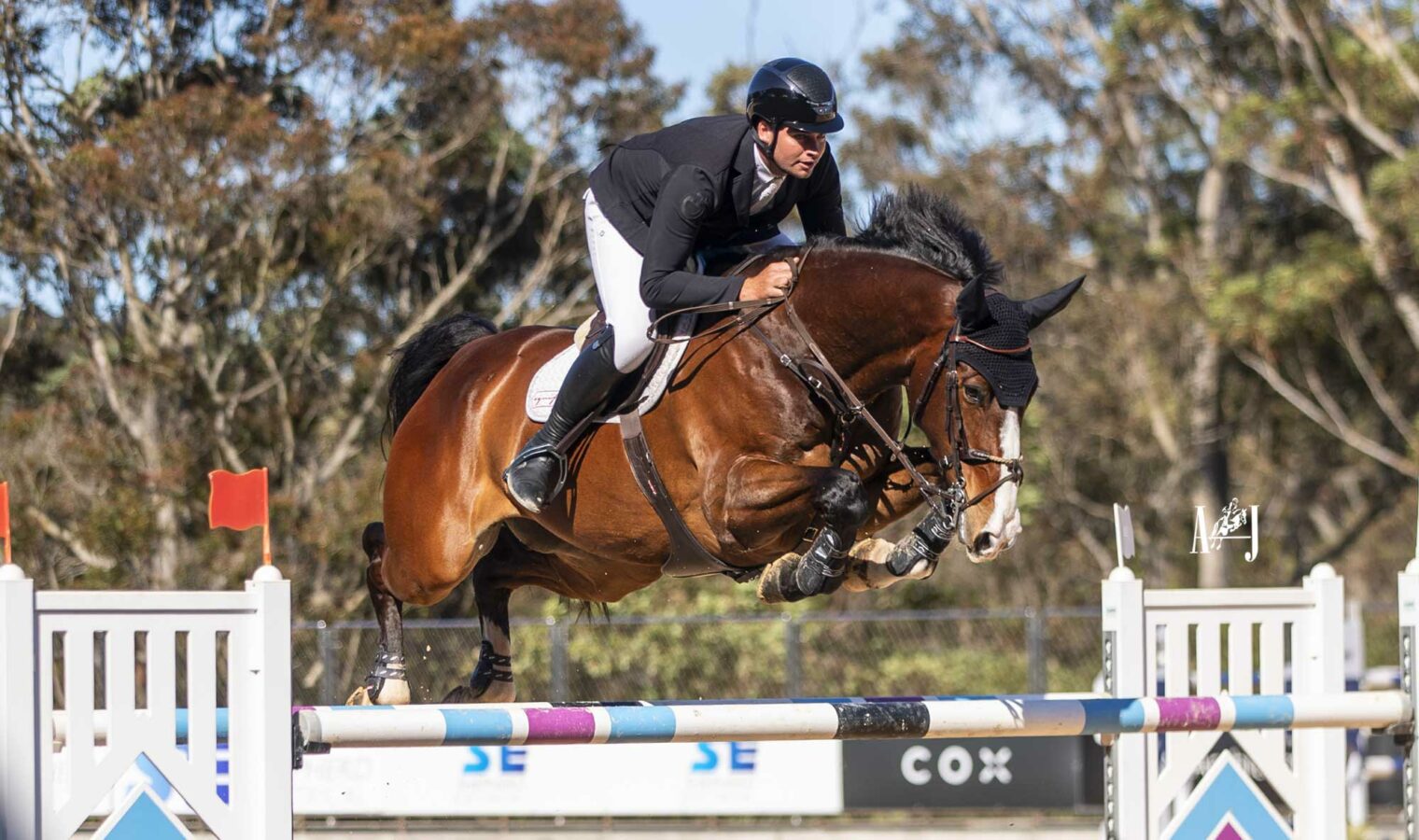 4Cyte-Open-1.45m-Tom-McDermott-–-COOLEY-GANGSTER 4Cyte-Open-1.45m-Tom-McDermott-–-COOLEY-GANGSTER