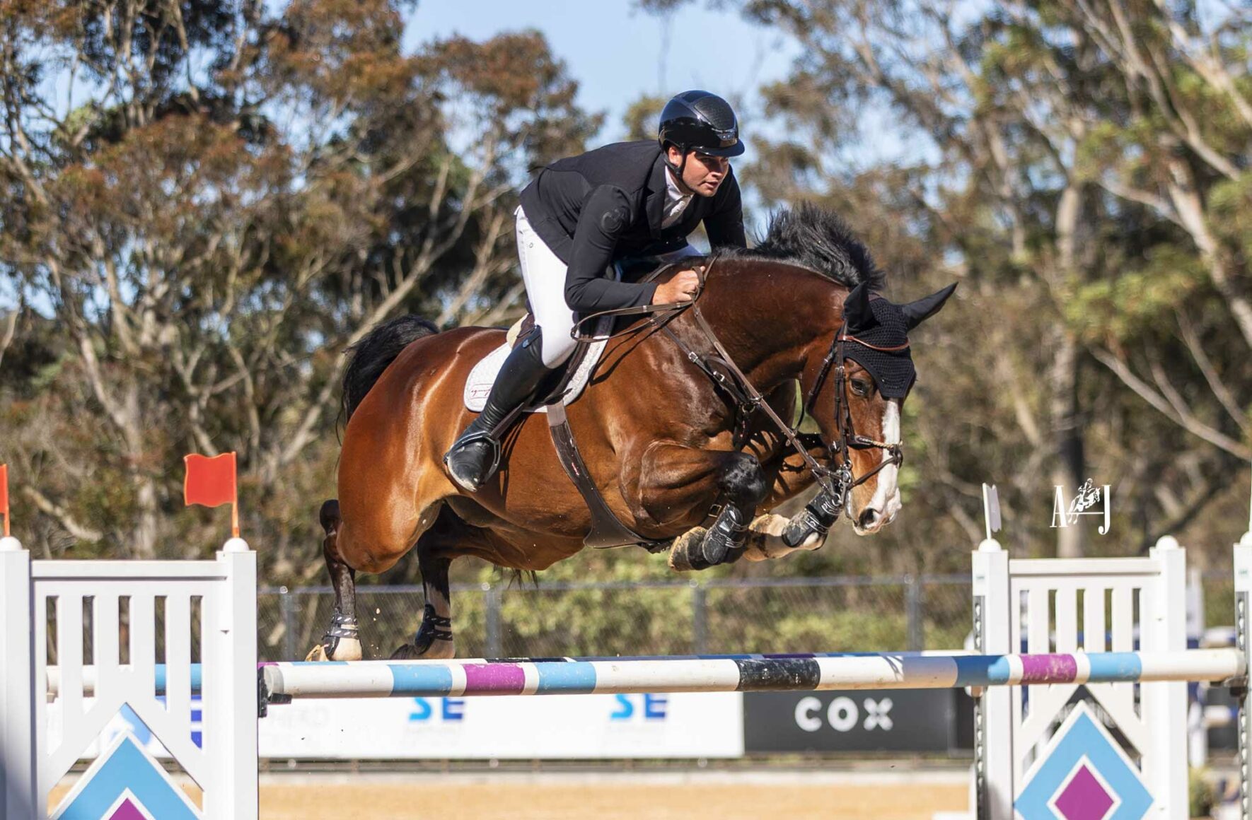 4Cyte-Open-1.45m-Tom-McDermott-–-COOLEY-GANGSTER 4Cyte-Open-1.45m-Tom-McDermott-–-COOLEY-GANGSTER