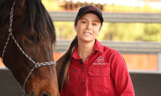 Screenshot 2022-10-22 163749 Screenshot 2022-10-22 163749