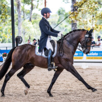 Gordon Pratt and 'Bloomers Simply The Best' score 67.79%