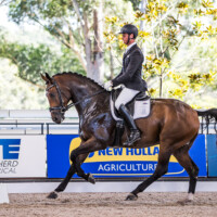David McKinnon and 'Fairbanks Florida' Trot 8.5 Walk 7.8 Canter 8.5 Submission 8 Perspective 8.5 Total 82.6 for 2nd place