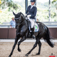 Gina Montgomery and Braveaux Trot9, Walk 9, Canter 9 Submission 8.9 Perspective 9.0 for a total of 90.4 to win the class