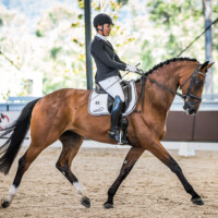 Nina Boyd and 'Maybel Matilda' Trot 8 Walk 8, Canter 8.5 Submission 8 Perspective 8.5 for a total of 82 and third place