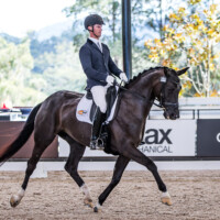 Willinga Park - Elliot Patterson and 'Bluefields Doris Day' Trot 7.5 Walk 7.1 Canter 7.3 Submission 7.1 Perspective 7.4 total 73.6 for third place