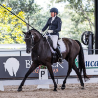 Willinga Park Katina Smith and 'BC Sangria' Trot 7.3, Canter 7.7 Walk 7.2 Submission 7.2 Prospective 7.4 total 74.2 to win the class