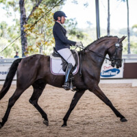 Willinga Park | Katina Smith and 'BC Sangria' Trot 7.3, Canter 7.7 Walk 7.2 Submission 7.2 Prospective 7.4 total 74.2 to win the class