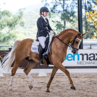 Willinga Park | Danni Walliss and 'Karizmah Billionaire' Trot 7.6 Walk 7.2 Canter 7.5 Sumission 7.1 Prospective 7.5 total 73.8 for second place