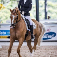 Willinga Park | Danni Walliss and 'Karizmah Billionaire' Trot 7.6 Walk 7.2 Canter 7.5 Sumission 7.1 Prospective 7.5 total 73.8 for second place